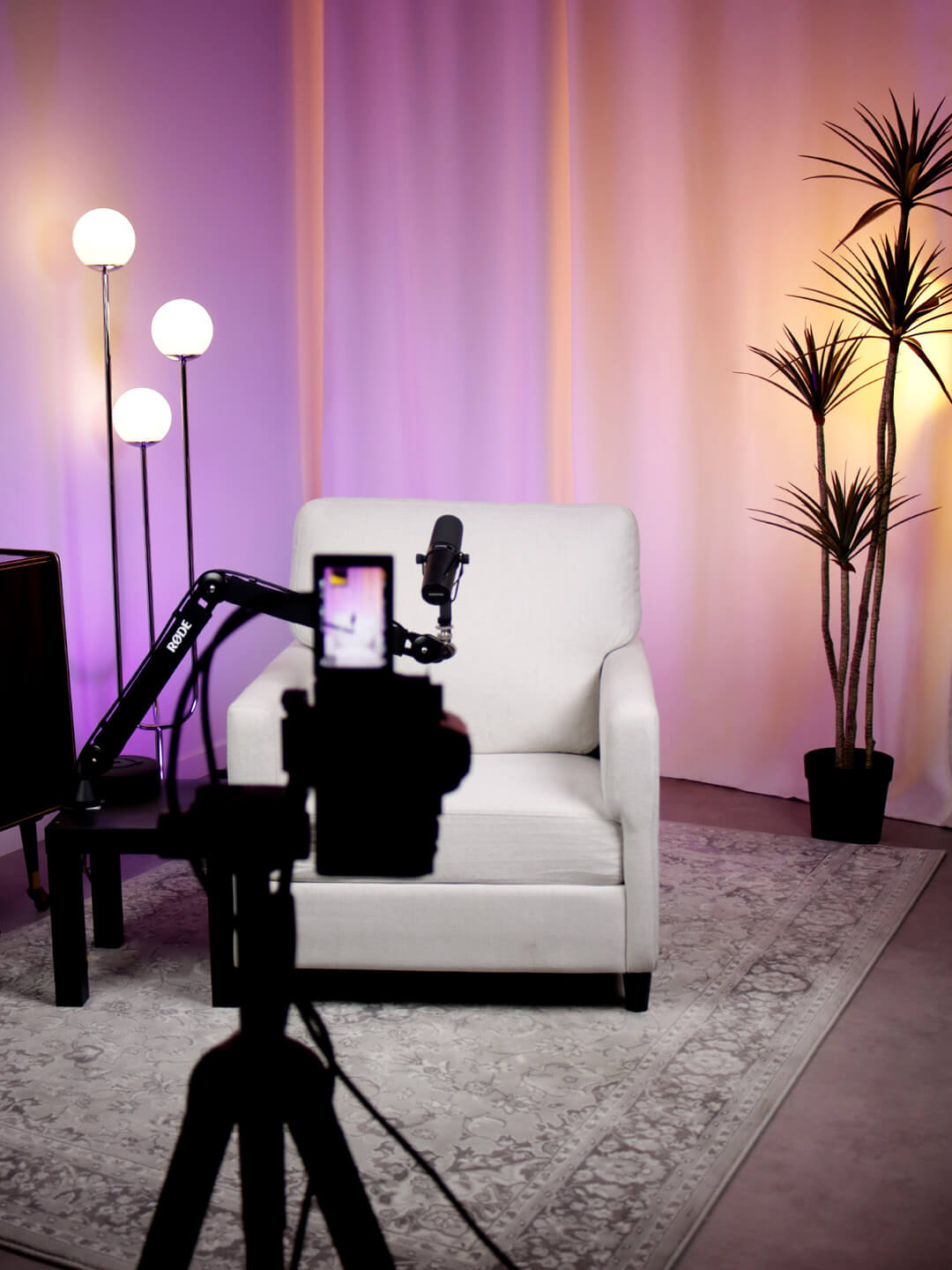 Décor vidéo avec un palmier et un jeu de lumière dans le fond pour un effet miami vibes
